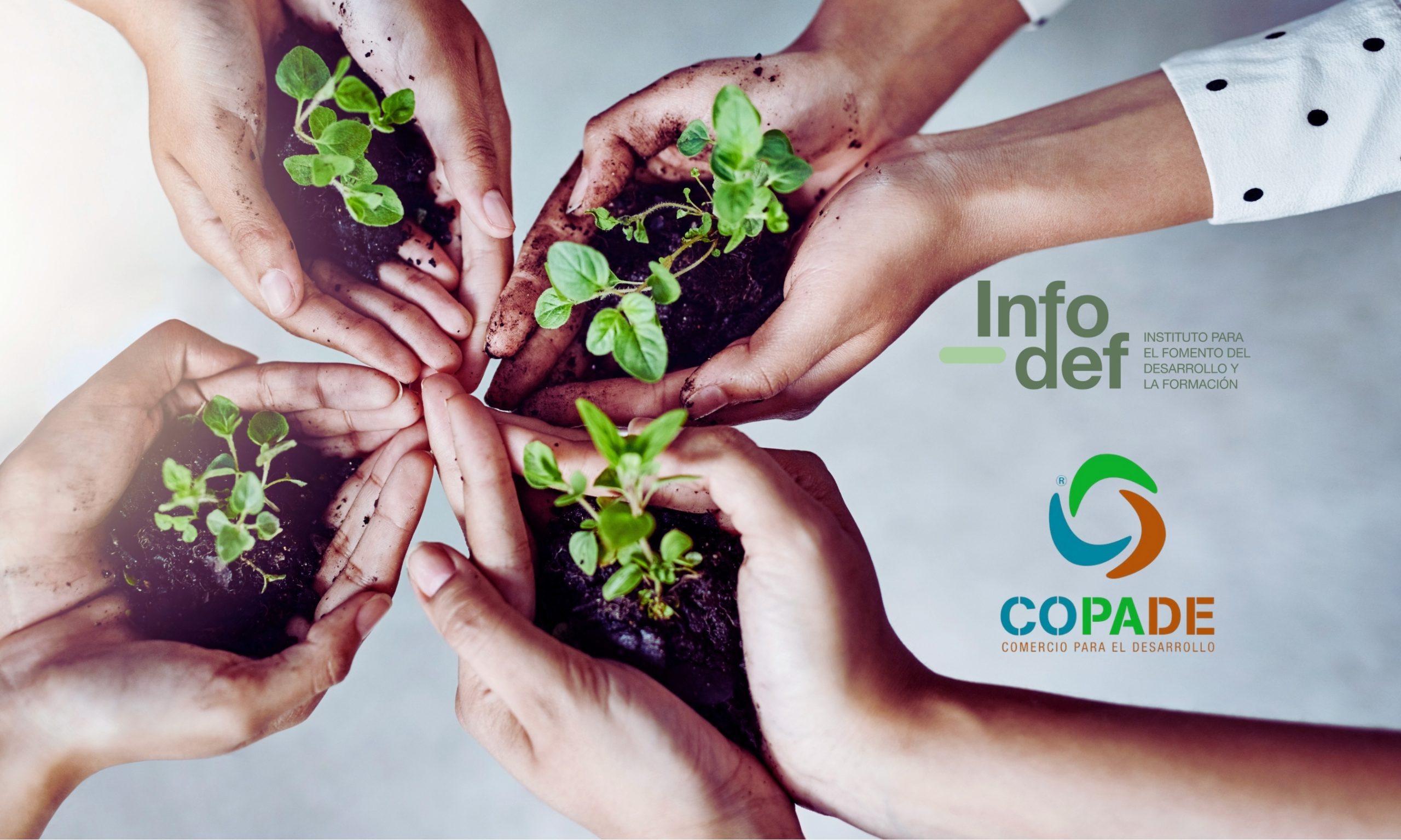 INFODEF se une a COPADE promoviendo el desarrollo sostenible